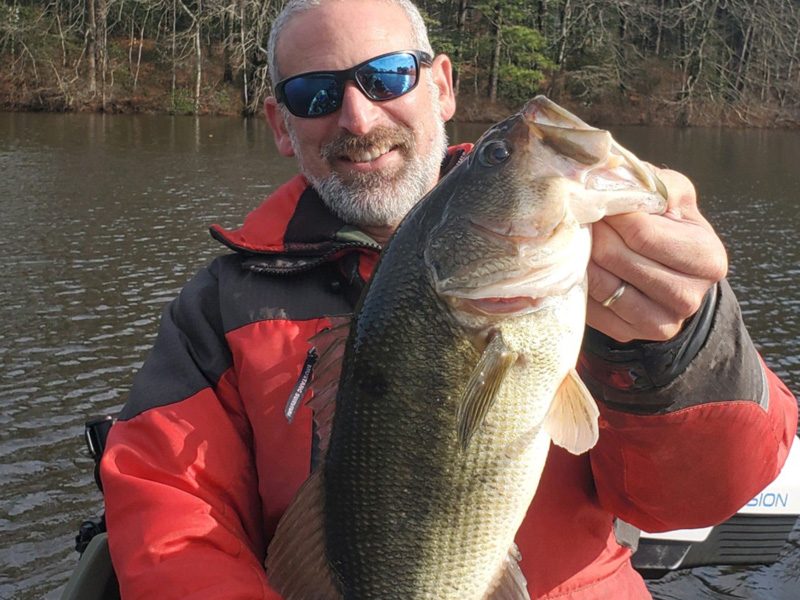 largemouth bass