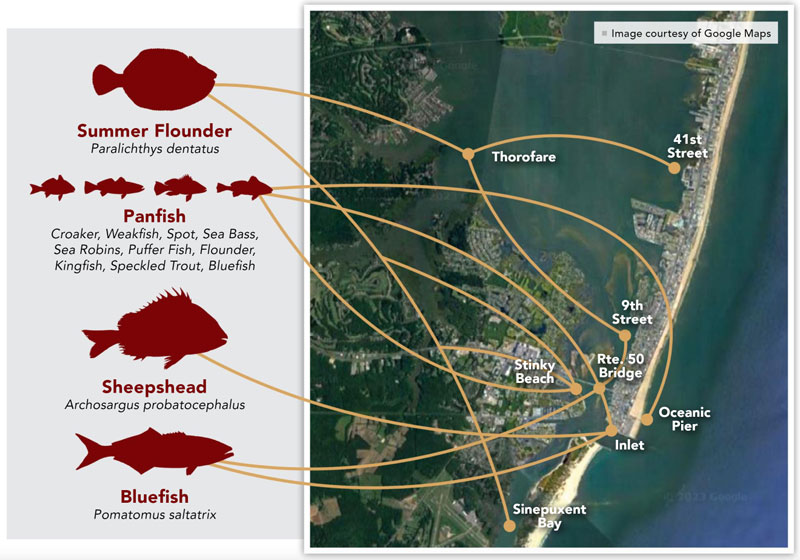map to fishing in ocean city