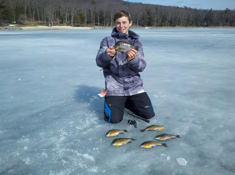ice fishing for bluegills