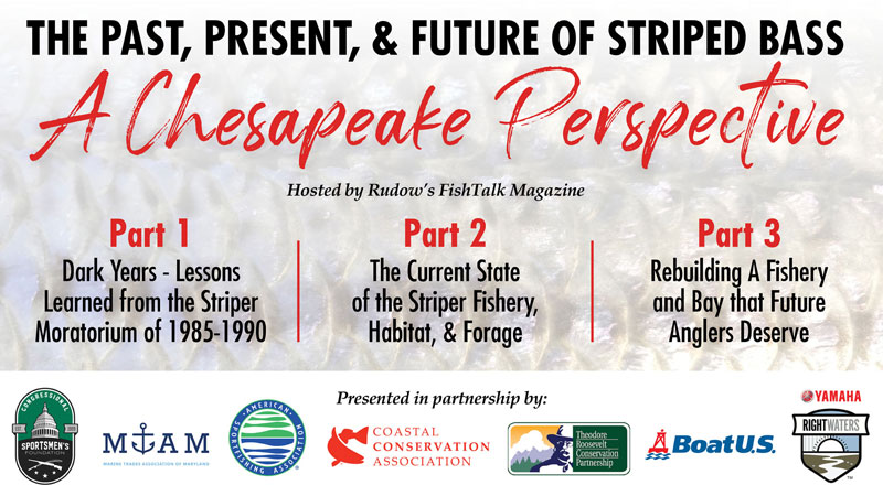 past present future chesapeake bay striped bass