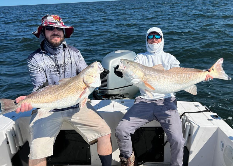 big redfish