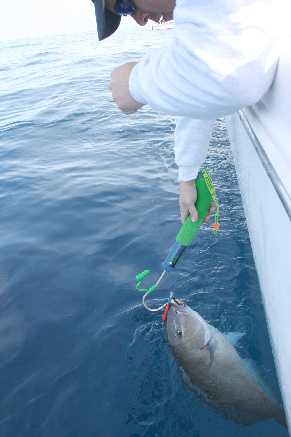 blue tilefish fishing